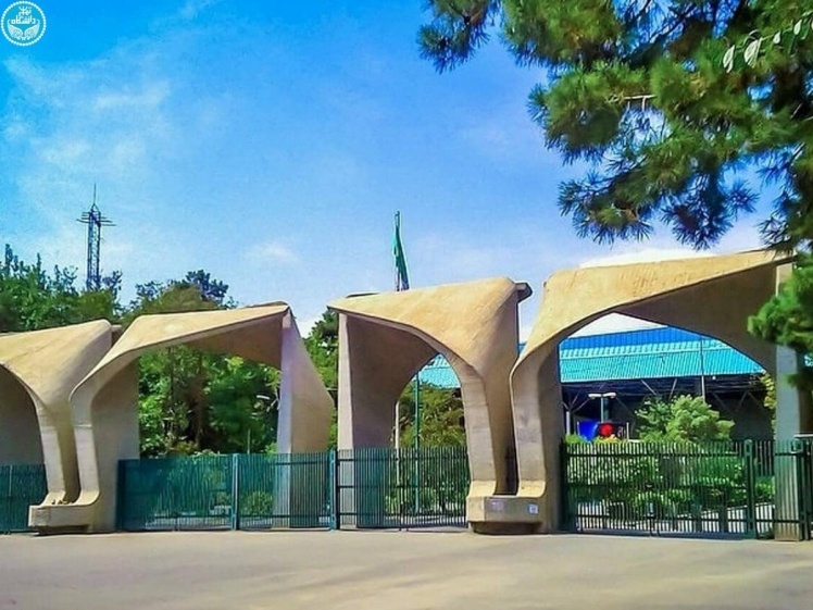 فهم دانشگاه؛ راهبردهای نوین در سیاست‌گذاری آموزشی